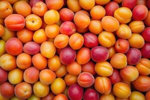 A vibrant collection of apricots forms a colorful and textured background. photo