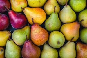 A colorful array of pears forms a rich and textured background. photo