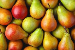 A colorful array of pears forms a rich and textured background. photo