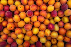 A vibrant collection of apricots forms a colorful and textured background. photo