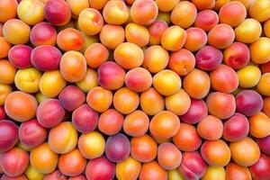 A vibrant collection of apricots forms a colorful and textured background. photo