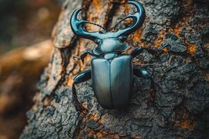 A stag beetle resting on a tree trunk. photo