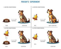 Pavlov's experiment on the dog conditional mechanisms with Food and Bell vector