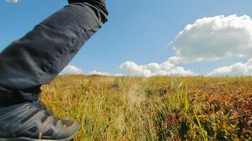 Rear view of a young male hiker climbing up a hill on a dirt mountain trail on a summer day. Travel, adventure and motivation concept video