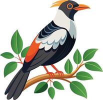 Pigeon and Branch in Harmony vector