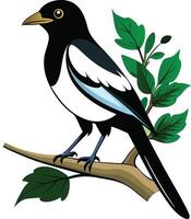 Magpie Resting on Green Branch vector