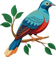A Dove sitting on a tree branch vector