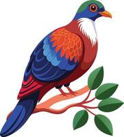 Pigeon Resting on Tree Branch vector