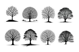 A set of tree silhouettes with leaves on a white background vector