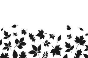 Autumn leaves falling silhouettes background. Black fall leaves random falling on white background vector