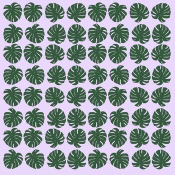 modelo monstera verde vector