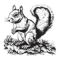 Beautiful squirrel sitting hand drawn sketch illustration vector