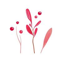Hand drawn branch with red and raspberry berries. Simple plant design. Flat Clean and decorative. vector