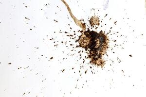 Coffee drops splashes with a brown color texture isolated on a white background photo