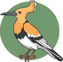 Hoopoe cartoon bird illustration vector