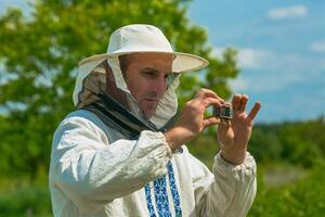 Beekeeper is working with bees and beehives on the apiary. Beekeeping. Honey. photo