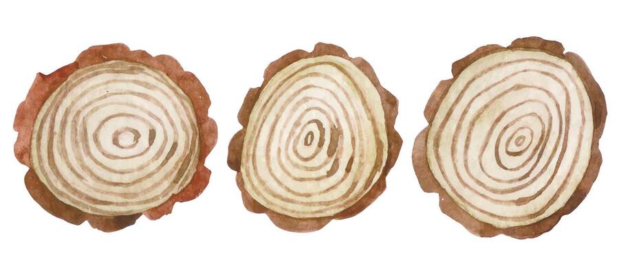 set of wood cuts. watercolor drawing