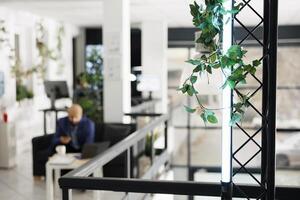 Company employee working in start up business green office on blurred background. Businessman sitting on couch in coworking open space with ivy plant leaves selective focus photo