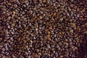 Fresh coffee that is processed by peeling for drying and roasting to give the coffee aroma and ready to be sold or exported to be processed into beverages at home and coffee shops. photo