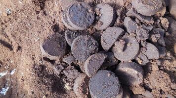 Coffee lumps and grounds are collected in containers after coffee has been crushed and made beverages for customers, collected for use in fertilizing plants, and can also be used to make spa scrubs. photo