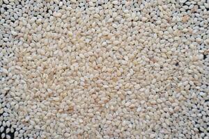 Background image of white sesame seeds laying on a table to inspect bite marks caused by pests destroying seeds being prepared for planting. Organic white sesame seeds destroyed by insect pests photo