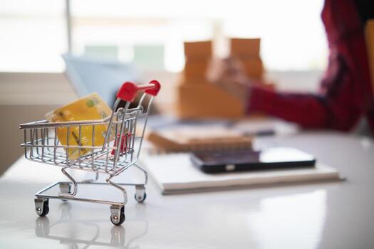 background Credit Card Shopping Cart is the concept of using a credit card to pay for items when shopping online through a secure application And credit cards are also convenient for payment. photo