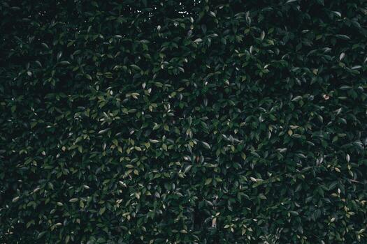 lleno marco mini hojas oscuro antecedentes en parte superior ver y Copiar espacio para texto entrada. un montón de pequeño hoja antecedentes para tierra día diseños a poner texto en el antecedentes. foto