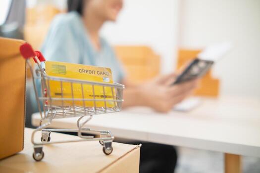 background Credit Card Shopping Cart is the concept of using a credit card to pay for items when shopping online through a secure application And credit cards are also convenient for payment. photo