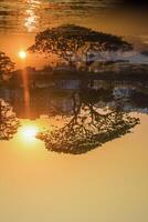 As the sun sets, its golden glow casts a peaceful reflection on the still water, blurring the line between reality and its mirrored image. photo