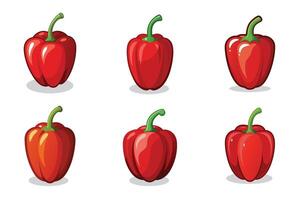 set of red peppers isolated on a white background vector