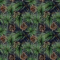 Pine, fir tree, spruce branches with needles, cones. Watercolor hand drawn illustration, seamless pattern isolated on dark. Xmas, happy new year festive, noel navidad holiday. Print paper, textile vector