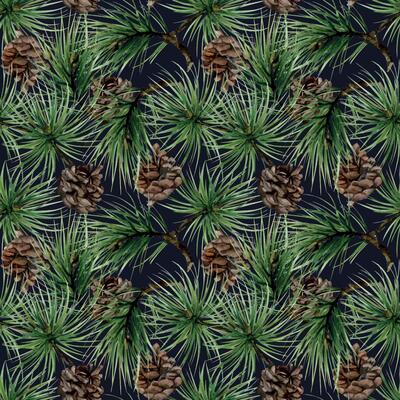 Pine, fir tree, spruce branches with needles, cones. Watercolor hand drawn illustration, seamless pattern isolated on dark. Xmas, happy new year festive, noel navidad holiday. Print paper, textile