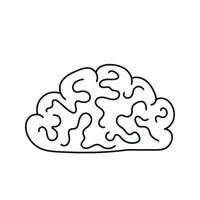 Brain Doodle. illustration isolated on background. vector