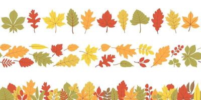Autumn leaves a seamless border set. Different horizontal endless borders with forest leaves in bright colors. Seasonal fall design for greeting cards, banners, washi tape, and Thanksgiving day vector