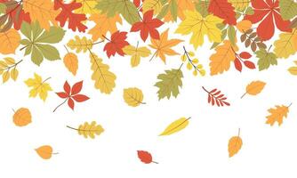 Autumn leaves a seamless border. Horizontal endless borders with forest flying leaves in bright colors. Seasonal fall design for greeting cards, banners, washi tape, web, and Thanksgiving day. vector