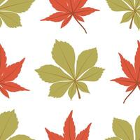 Autumn leaves seamless pattern. Fall background with chestnut and maple on white background. Botanical background for wrapping paper, wallpaper, and fabric. Foliage print. vector