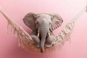 Adorable Baby Elephant Relaxing in a Macrame Hammock Against a Soft Pink Background photo