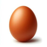 chicken egg isolated on white background photo