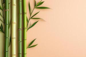 Fresh Green Bamboo Stalks and Leaves on a Soft Peach Background - Minimalist Nature Concept photo