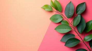 Vibrant Green Leaves on a Colorful Pink and Orange Background - Nature and Botanical Concept photo