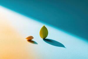 Minimalist Composition with Seed and Leaf on Colorful Gradient Background photo