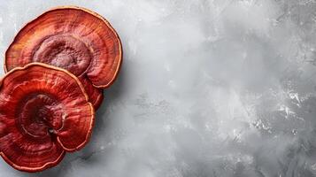 Reishi mushrooms on gray stone background with copy space Chinese medicine Ganoderma lucidum Translucid Mushroom, lingzhi mushroom photo