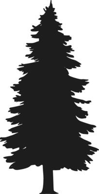 Wild Evergreen pine tree silhouette