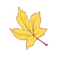 Autumn Fallen Yellow Leaf of Maple. Illustration on white background vector
