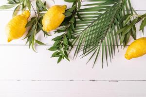Jewish harvest festival. Traditional symbols of the holiday on a white wooden background. palm leaves, willow branch, citrus etrog . A copy space photo