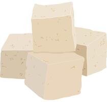 Raw Tofu Block or Soya Food Product Isolated on White Background vector