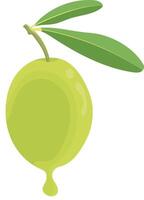 Fresh Olive Fruit with Dripping Oil Isolated on White Background vector