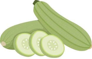 Zucchini Vegetable with Slices Isolated on White Background vector