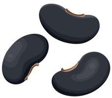 Pile of Raw Black Beans Isolated on White Background vector