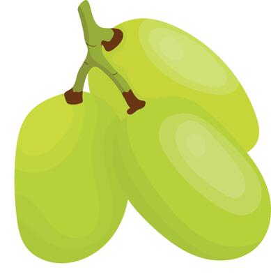 Fresh Green Grapes Fruits Isolated on White Background